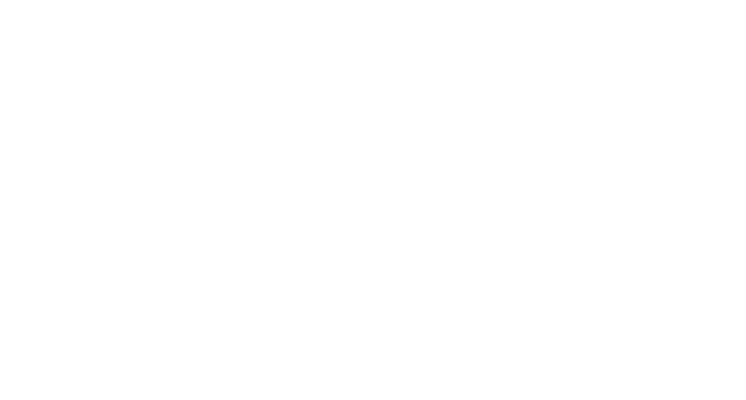 Vd Berk logo Mono